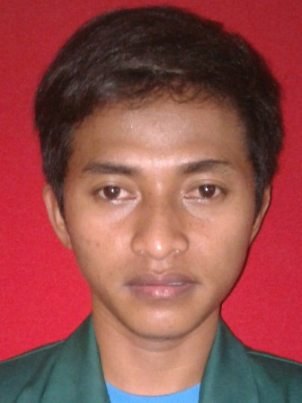RAFIUL AMIN