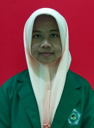 NUR AINI