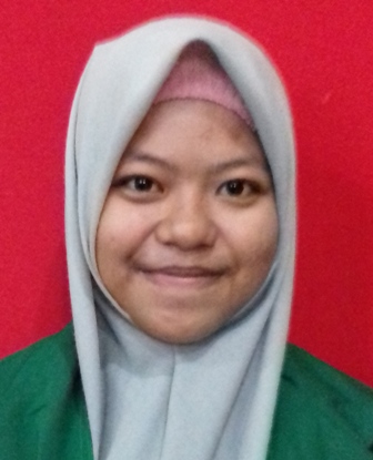 NUR AINI
