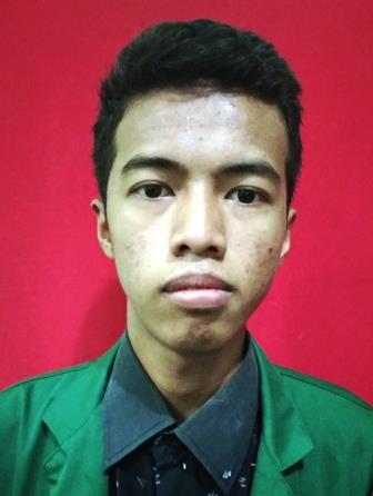 MOHAMMAD SHAFLY AL-AYYUBI