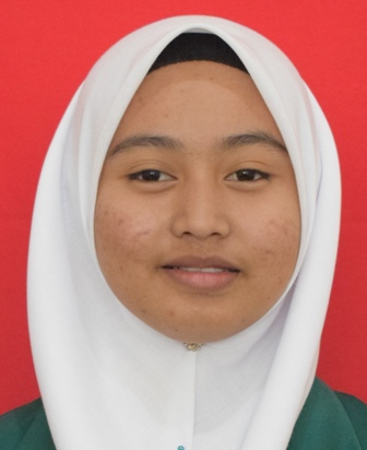 DIANAWATI BINTI MAT ROMLI