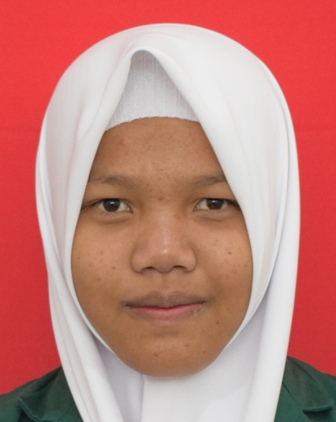 WULAN ARDINA AHMAD JAMALUDDIN