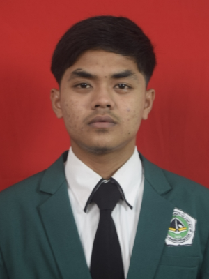 MUHAMMAD IQBAL BAIDAWI