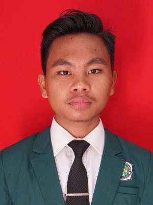 MUHAMAD SAFIUDIN