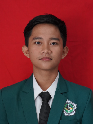 MOCHAMAD AMIR MAHMUD