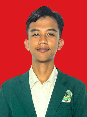 M. ALI RAMADHAN WAHYUDI
