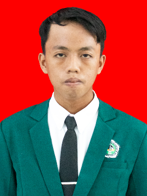 MUHAMMAD ILZAM ROFIQI