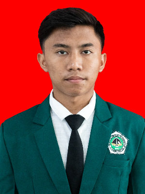 AIN NURROKHMATUL KHAMID