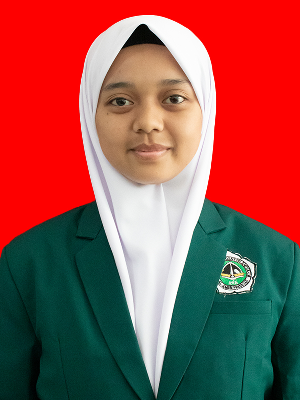 NUR AINI
