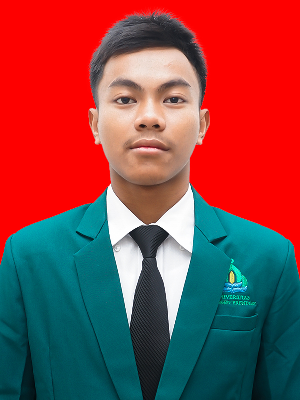 MUHAMMAD IRFAN ILHAM